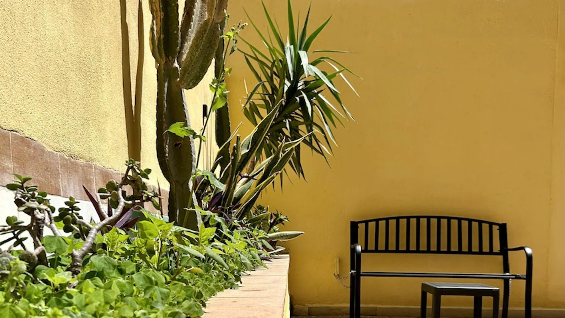 Apartamento Palermo Central Italia
